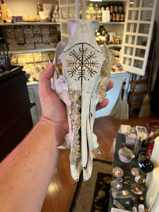 Wild Boar Skull with Helm of Awe
