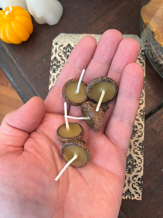 Mini acorn beeswax candles (5)