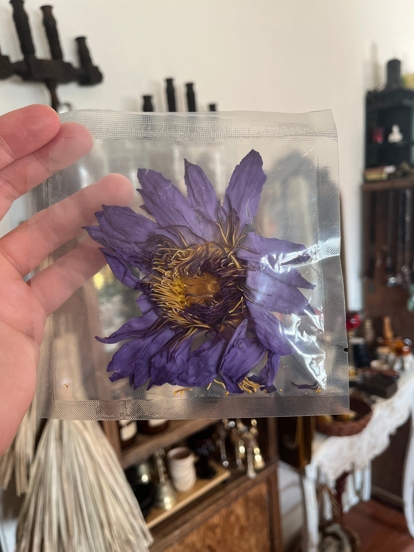 Blue lotus flower (whole)